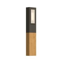 RSC FLESH TD3-1000-20